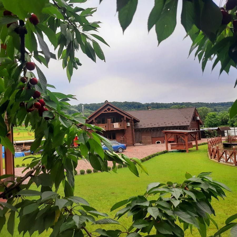 Villa На Ставку Wyschnyzja Exterior foto